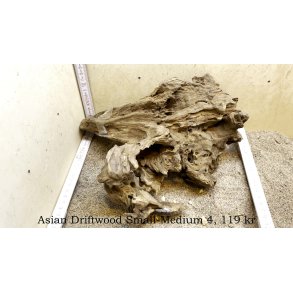 Asian Driftwood Small-Medium (WYSIWYG)