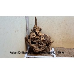 Asian Driftwood Small-Medium (WYSIWYG)