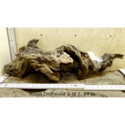 Asian Driftwood Small-Medium (WYSIWYG)