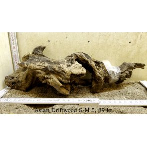 Asian Driftwood Small-Medium (WYSIWYG)