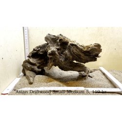 Asian Driftwood Small-Medium (WYSIWYG)