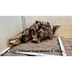 Asian Driftwood Small-Medium (WYSIWYG)