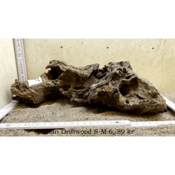 Asian Driftwood Small-Medium (WYSIWYG)