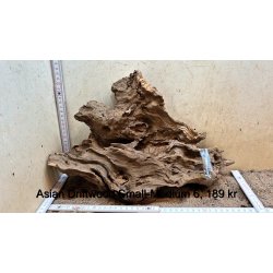 Asian Driftwood Small-Medium (WYSIWYG)