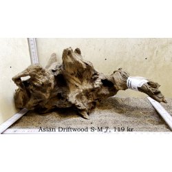 Asian Driftwood Small-Medium (WYSIWYG)