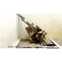 Asian Driftwood Small-Medium (WYSIWYG)