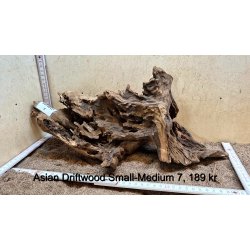 Asian Driftwood Small-Medium (WYSIWYG)