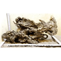 Asian Driftwood Small-Medium (WYSIWYG)