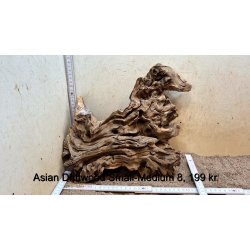 Asian Driftwood Small-Medium (WYSIWYG)