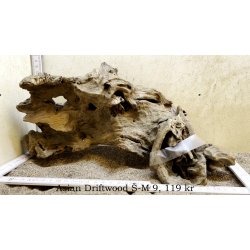 Asian Driftwood Small-Medium (WYSIWYG)