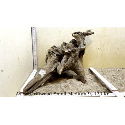 Asian Driftwood Small-Medium (WYSIWYG)