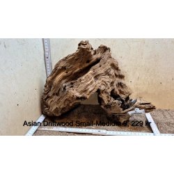 Asian Driftwood Small-Medium (WYSIWYG)