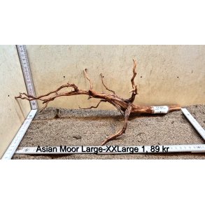 Asian Moor Rod Large-XXLarge (WYSIWYG)
