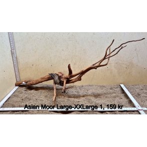 Asian Moor Rod Large-XXLarge (WYSIWYG)