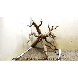 Asian Moor Rod Large-XXLarge (WYSIWYG)