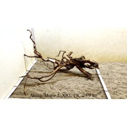 Asian Moor Rod Large-XXLarge (WYSIWYG)