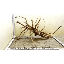 Asian Moor Rod Large-XXLarge (WYSIWYG)