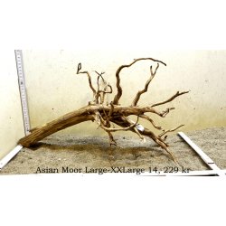 Asian Moor Rod Large-XXLarge (WYSIWYG)