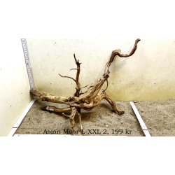 Asian Moor Rod Large-XXLarge (WYSIWYG)