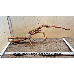 Asian Moor Rod Large-XXLarge (WYSIWYG)