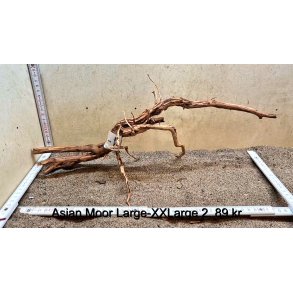 Asian Moor Rod Large-XXLarge (WYSIWYG)