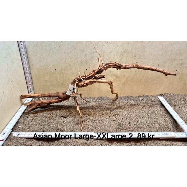 Asian Moor Rod Large-XXLarge (WYSIWYG)