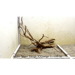 Asian Moor Rod Large-XXLarge (WYSIWYG)