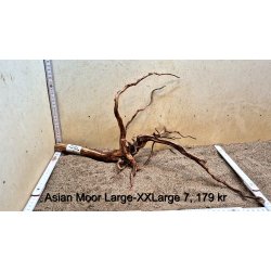 Asian Moor Rod Large-XXLarge (WYSIWYG)