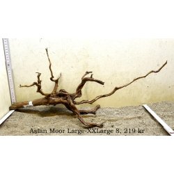 Asian Moor Rod Large-XXLarge (WYSIWYG)