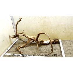 Asian Moor Rod Large-XXLarge (WYSIWYG)