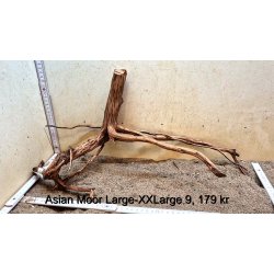 Asian Moor Rod Large-XXLarge (WYSIWYG)