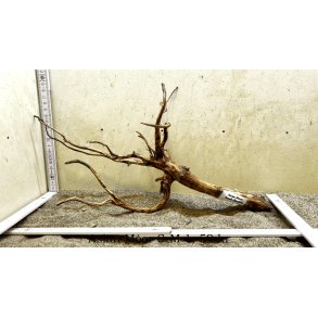 Asian Moor Rod Small-Medium (WYSIWYG)