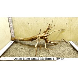 Asian Moor Rod Small-Medium (WYSIWYG)