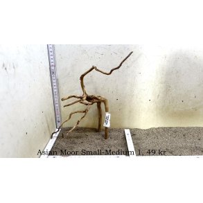 Asian Moor Rod Small-Medium (WYSIWYG)