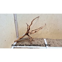 Asian Moor Rod Small-Medium (WYSIWYG)
