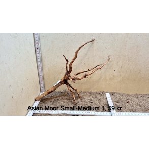 Asian Moor Rod Small-Medium (WYSIWYG)