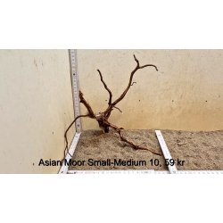 Asian Moor Rod Small-Medium (WYSIWYG)