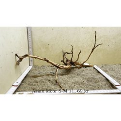 Asian Moor Rod Small-Medium (WYSIWYG)