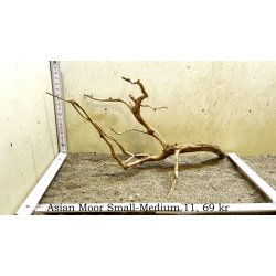 Asian Moor Rod Small-Medium (WYSIWYG)