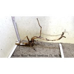 Asian Moor Rod Small-Medium (WYSIWYG)