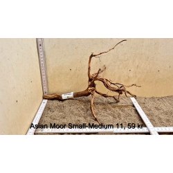 Asian Moor Rod Small-Medium (WYSIWYG)