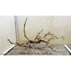 Asian Moor Rod Small-Medium (WYSIWYG)