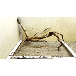 Asian Moor Rod Small-Medium (WYSIWYG)