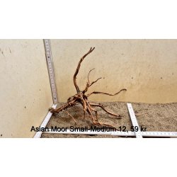 Asian Moor Rod Small-Medium (WYSIWYG)