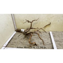 Asian Moor Rod Small-Medium (WYSIWYG)