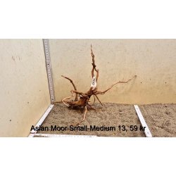 Asian Moor Rod Small-Medium (WYSIWYG)