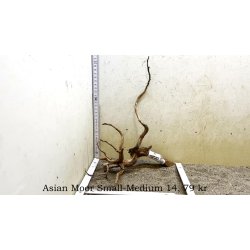 Asian Moor Rod Small-Medium (WYSIWYG)