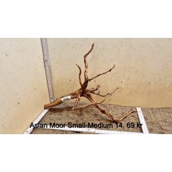 Asian Moor Rod Small-Medium (WYSIWYG)