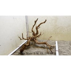 Asian Moor Rod Small-Medium (WYSIWYG)