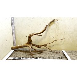 Asian Moor Rod Small-Medium (WYSIWYG)